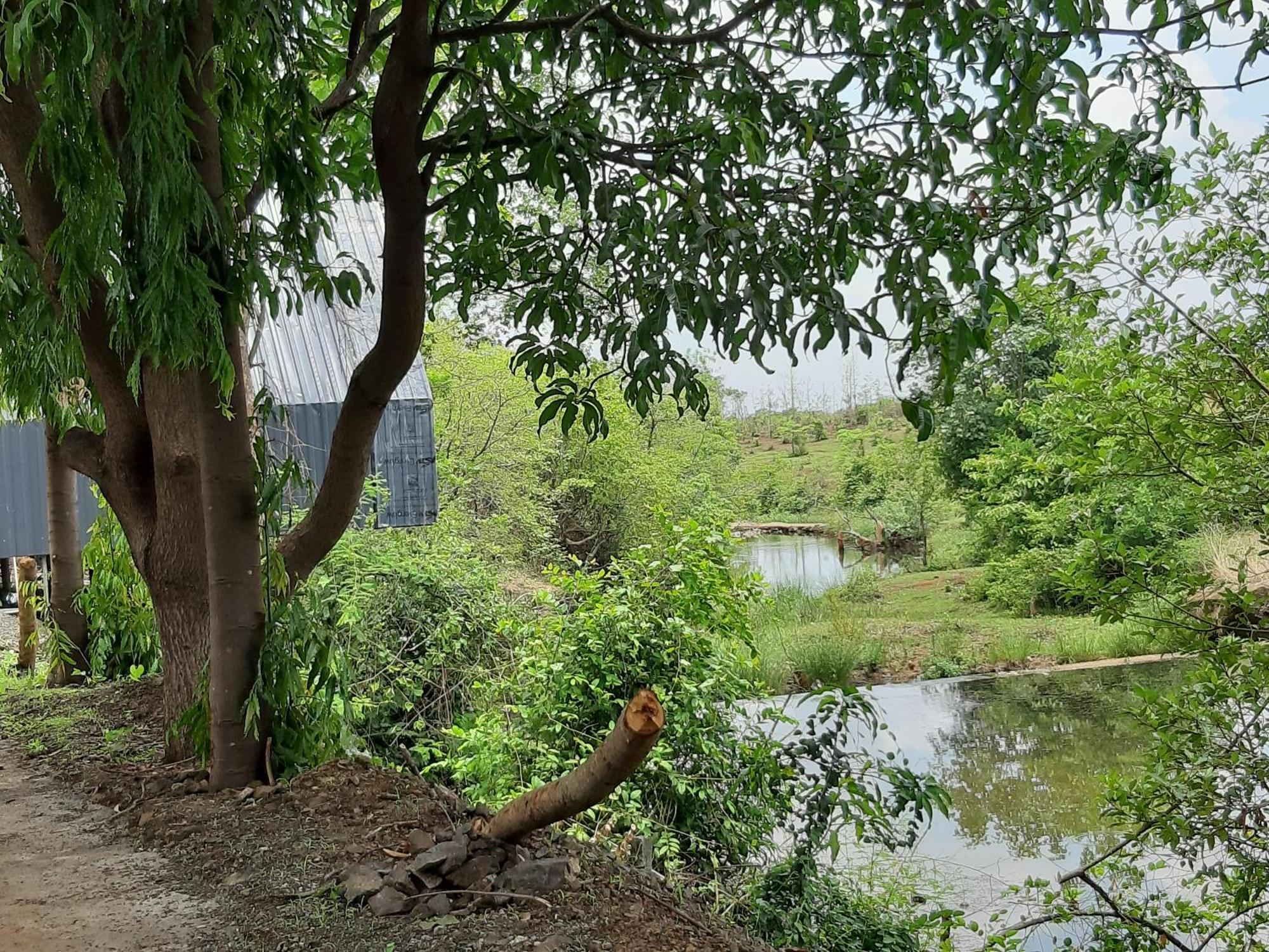 River Ranch Saralgaon Exterior photo